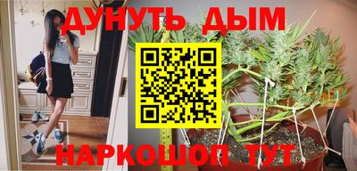 стаф Аргун