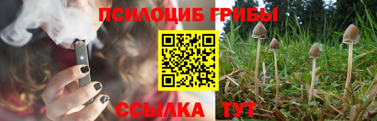 Псилоцибиновые грибы Magic Shrooms Белая Калитва